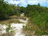 Playa La Plata - VIEQUES